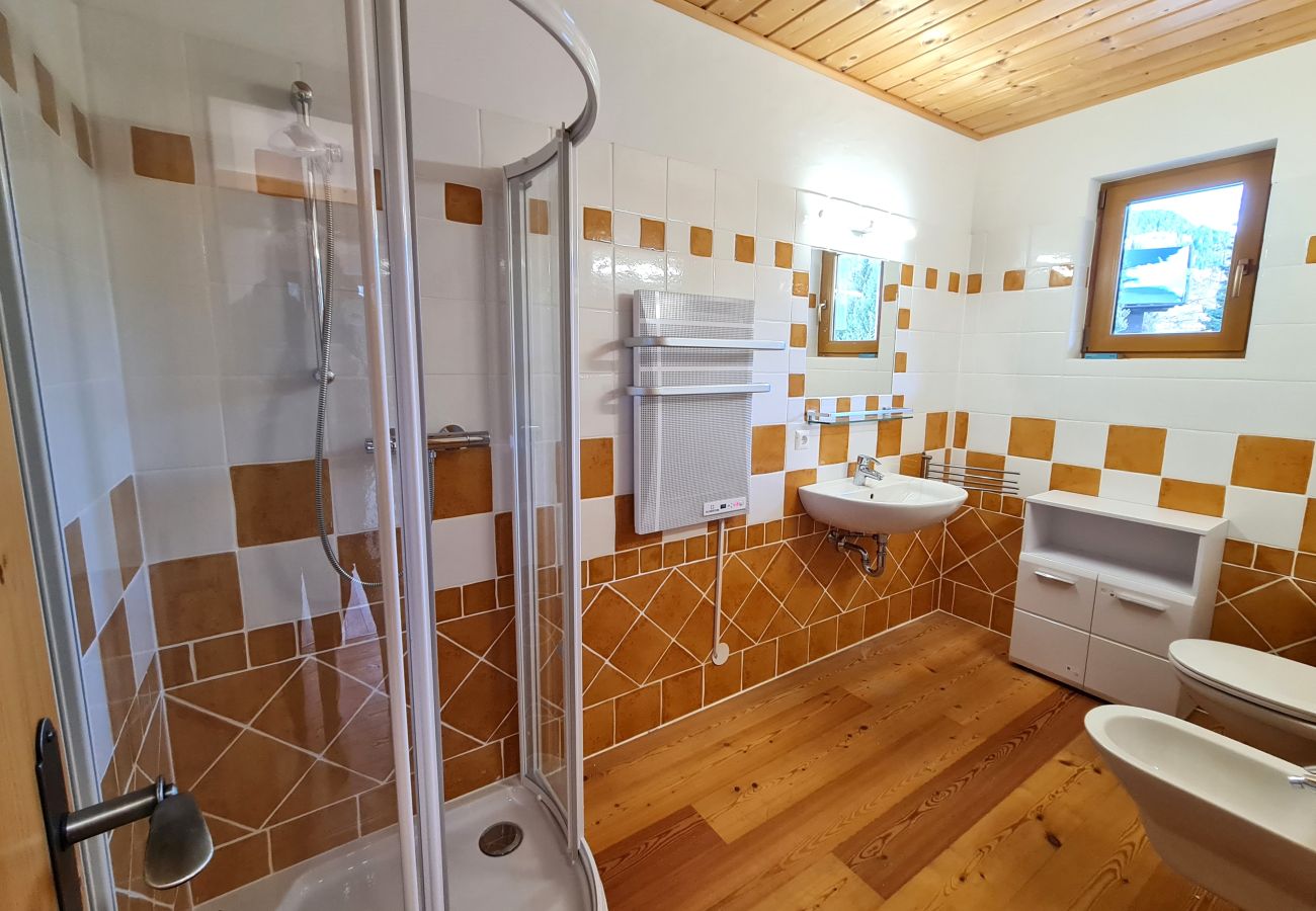 Ferienwohnung in Bad Kleinkirchheim - Haus Renata Top 6 by Globalimmoservice