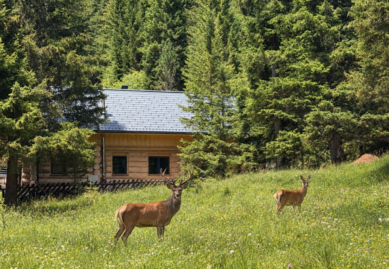 Ferienhaus in Ebene Reichenau - Chalet Waldblick by Globalimmoservice