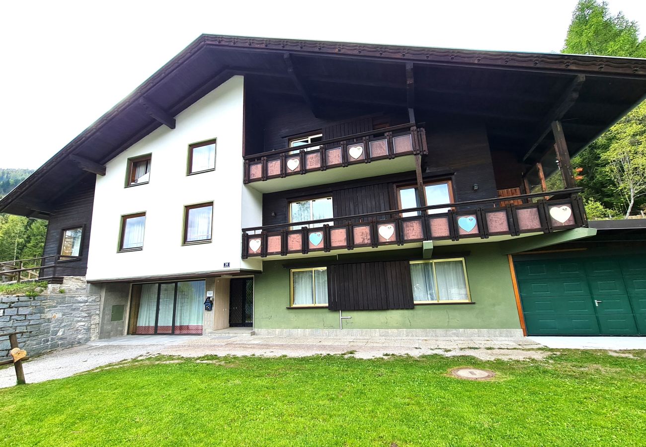 Apartment in Bad Kleinkirchheim - Der Kristall Top 5 by Globalimmoservice