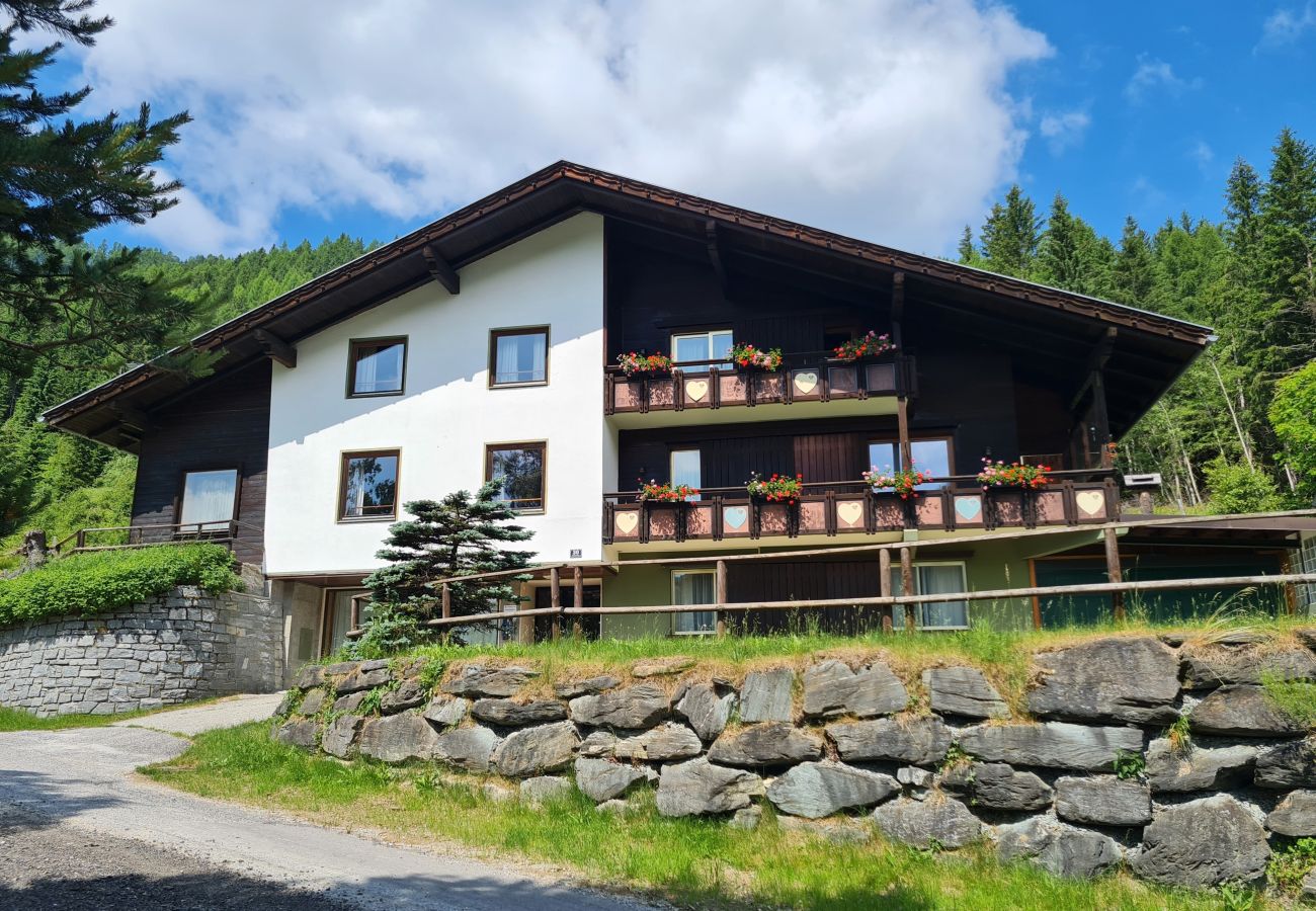 Apartment in Bad Kleinkirchheim - Der Kristall Top 5 by Globalimmoservice