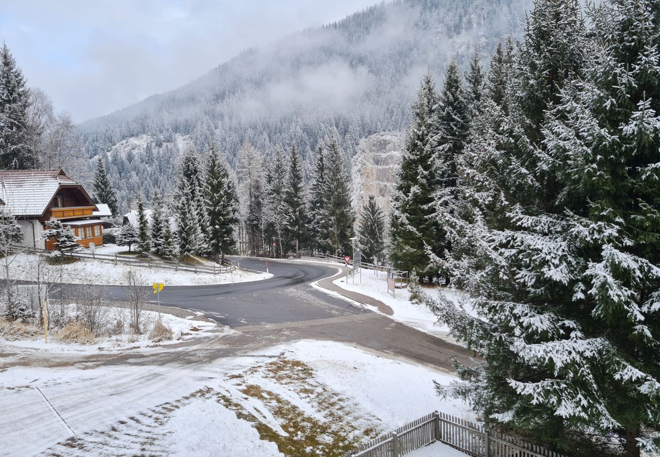 Apartment in Bad Kleinkirchheim - Haus Lukas by Globalimmoservice